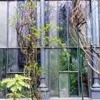 ELTE Füvészkert Budapest - Külső kép