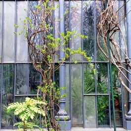 ELTE Füvészkert Budapest - Külső kép