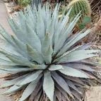 ELTE Füvészkert Budapest - Külső kép