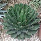 ELTE Füvészkert Budapest - Külső kép