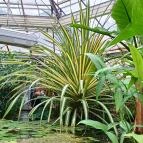 ELTE Füvészkert Budapest - Belső