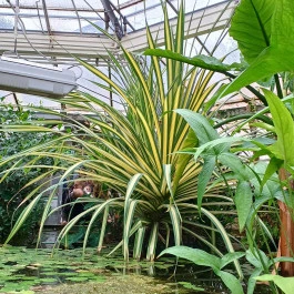 ELTE Füvészkert Budapest - Belső