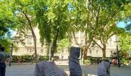 Az erő nyomai, Budapest