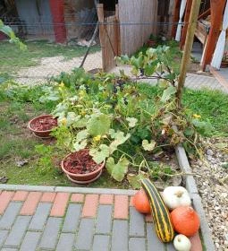 Eszti Falusi Vendégasztala