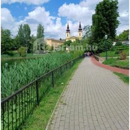 Feneketlen-tó Budapest - Egyéb