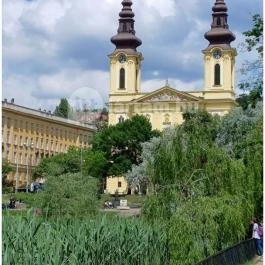 Feneketlen-tó Budapest - Egyéb