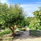 Fiastyúk Udvarház Csór - Egyéb