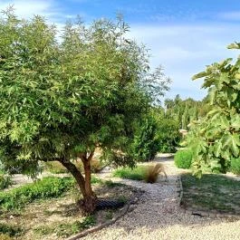 Fiastyúk Udvarház, Csór - Egyéb