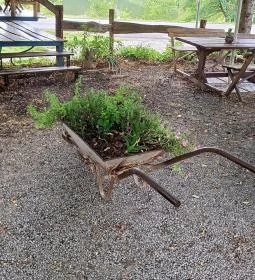 Főnix Fogadó Étterme