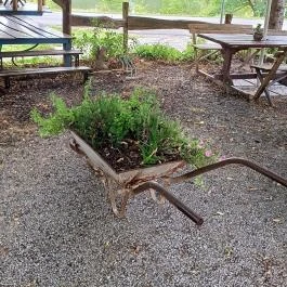 Főnix Fogadó Étterme, Kadarkút - Egyéb