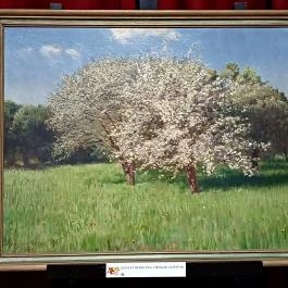 Forgách-kastély Szécsény - Egyéb