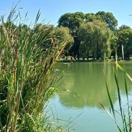 Forgách-kastély Szécsény - Egyéb