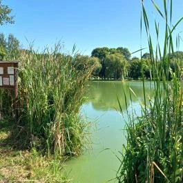 Forgách-kastély Szécsény - Egyéb