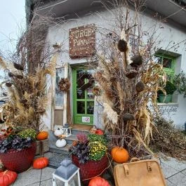 Fürge Páva Monor - Egyéb