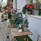 Fürge Páva Monor - Egyéb