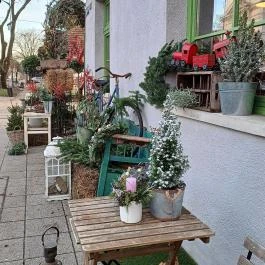 Fürge Páva, Monor - Egyéb