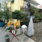 Fürge Páva Monor - Egyéb