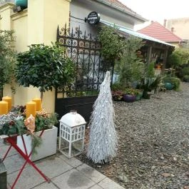 Fürge Páva, Monor - Egyéb