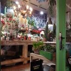 Fürge Páva Monor - Egyéb