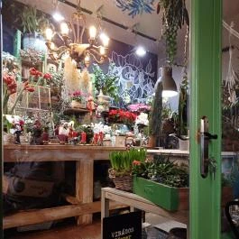 Fürge Páva, Monor - Egyéb