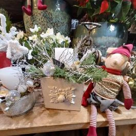 Fürge Páva, Monor - Egyéb