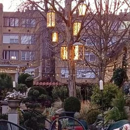 Fürge Páva, Monor - Egyéb