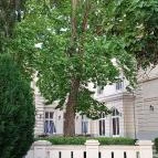 Füzérradványi Károlyi-Kastély Füzérradvány - Külső kép