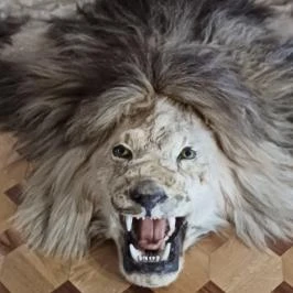 Füzérradványi Károlyi-Kastély , Füzérradvány - Belső