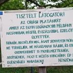 Füzérradványi kastélykert Füzérradvány - Külső kép