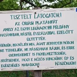 Füzérradványi kastélykert, Füzérradvány - Külső kép