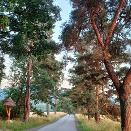 Füzérradványi kastélykert, Füzérradvány - Külső kép