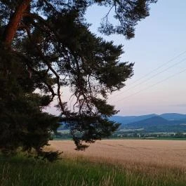 Füzérradványi kastélykert, Füzérradvány - Külső kép