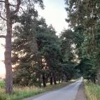 Füzérradványi kastélykert Füzérradvány - Külső kép