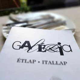 Galéria Étterem Szolnok - Egyéb