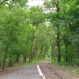 Gemenci Erdei Vasút Pörböly - Egyéb