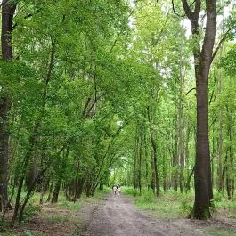Gemenci Erdei Vasút Pörböly - Egyéb