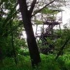 Gemenci Erdei Vasút Pörböly - Egyéb