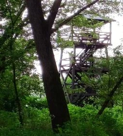 Gemenci Erdei Vasút