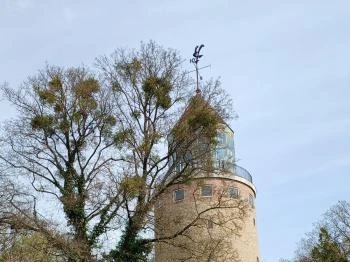 Gödöllői Egyetemi Víztorony Gödöllő