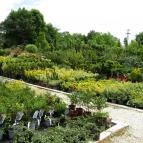 Gödöllői Királyi Kastély Gödöllő - Egyéb