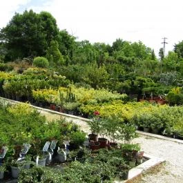 Gödöllői Királyi Kastély Gödöllő - Egyéb