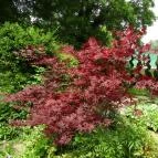 Gödöllői Királyi Kastély Gödöllő - Egyéb