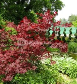 Gödöllői Királyi Kastély