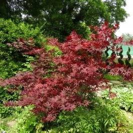 Gödöllői Királyi Kastély Gödöllő - Egyéb