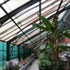 Gödöllői Királyi Kastély Gödöllő - Egyéb