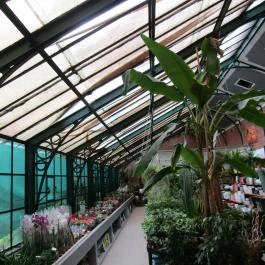 Gödöllői Királyi Kastély Gödöllő - Egyéb