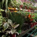 Gödöllői Királyi Kastély Gödöllő - Egyéb