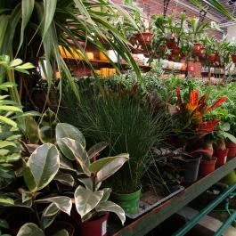 Gödöllői Királyi Kastély Gödöllő - Egyéb