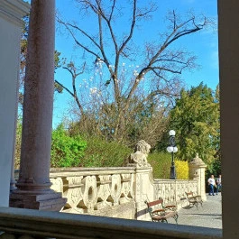 Gödöllői Királyi Kastély, Gödöllő - Egyéb