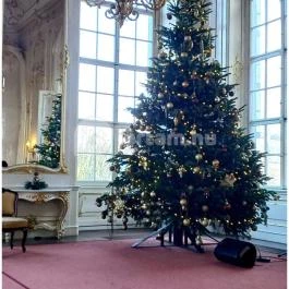 Gödöllői Királyi Kastély Gödöllő - Egyéb